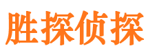 双江市侦探